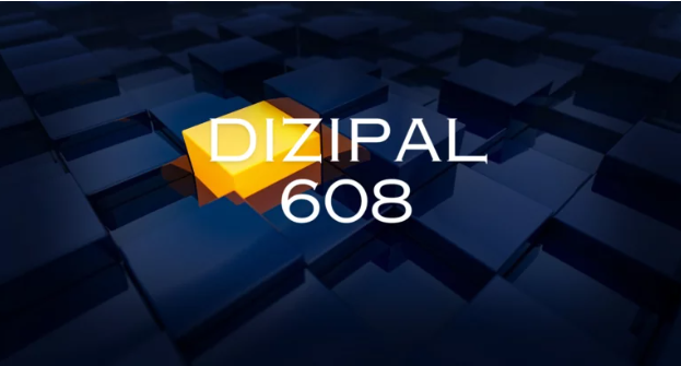 dizipal 608