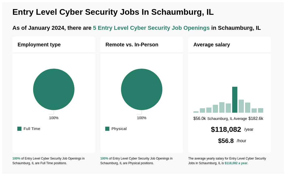 cybersecurity and data privacy schaumburg