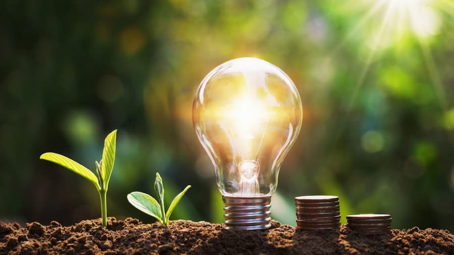Little plants, coins and a bulb, endorsing why regular maintenance is crucial for food equipment