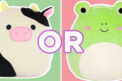 which squishmallow are you
